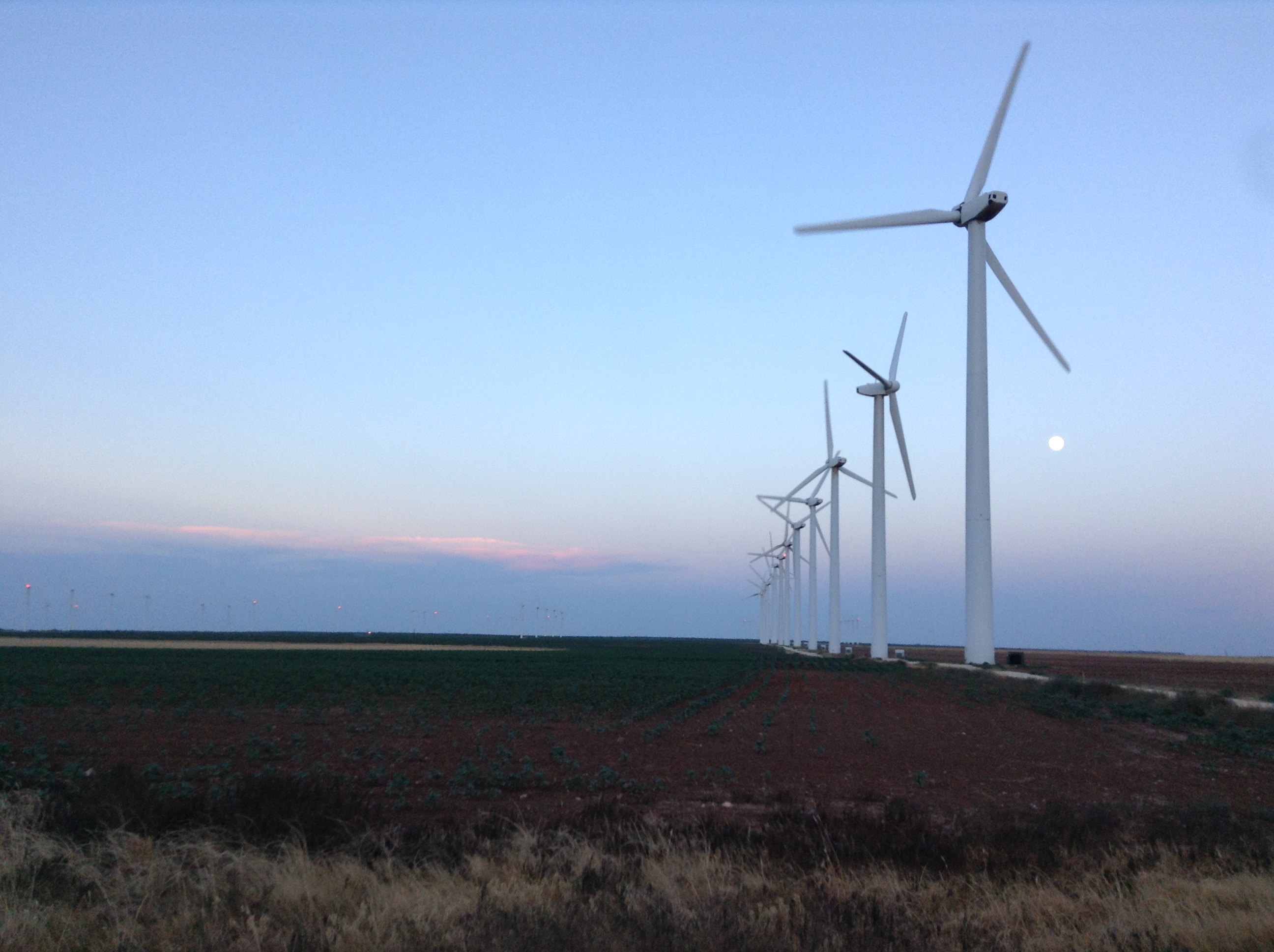Wind Turbines near Fluvanna, Texas in August 2014 (c) Cody Collier